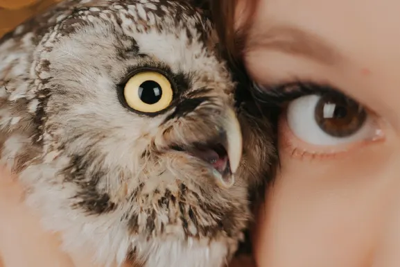 Λοττομαρτ Καζίνο Υποστηριξη